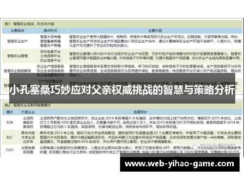 小孔塞桑巧妙应对父亲权威挑战的智慧与策略分析 小孔塞桑巧妙应对父亲权威挑战的智慧与策略分析
