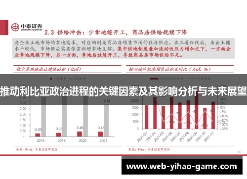 推动利比亚政治进程的关键因素及其影响分析与未来展望 推动利比亚政治进程的关键因素及其影响分析与未来展望