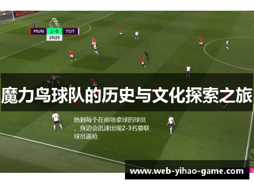 魔力鸟球队的历史与文化探索之旅 魔力鸟球队的历史与文化探索之旅