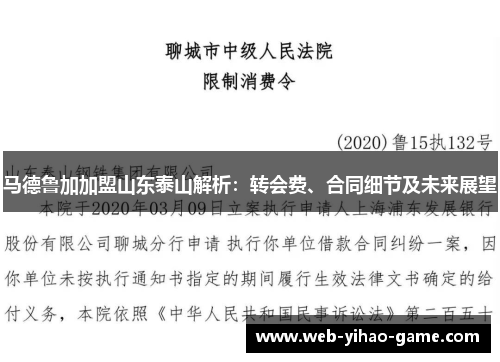 马德鲁加加盟山东泰山解析:转会费、合同细节及未来展望 马德鲁加加盟山东泰山解析:转会费、合同细节及未来展望